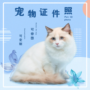 定制冲印洗照片1寸2寸两寸狗狗猫咪宠物办证件照换底包裁包邮免邮