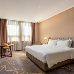 德保天龙湾曼悦酒店豪华大床房