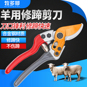 羊蹄剪刀兽用修蹄刀养殖修蹄工具羊用修蹄剪牛修蹄工具剪羊蹄剪子