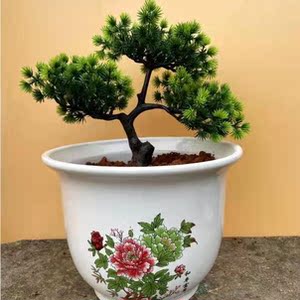 花盆大号室内外牡丹中国风特大号多口径外口径特价包邮陶瓷