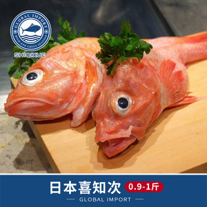 冰鲜金吉鱼喜知次日本进口深海鲜活海鲜日料寿司刺身喜知次