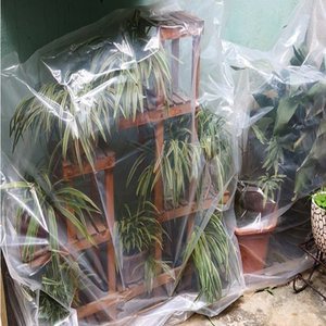绿植物防冻保温袋户室外花卉盆栽保温塑料膜袋多肉植物过冬保护罩