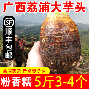 【顺丰包邮】广西特产正宗荔浦芋头新鲜香芋槟榔芋特大一级5斤