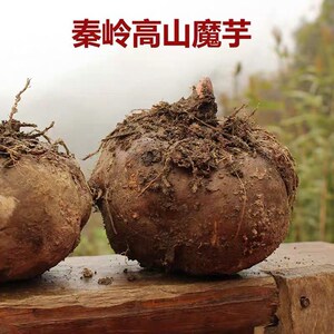 580人付款淘宝现挖天然新鲜大魔芋头1/3/5/10斤包