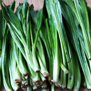 老缅芫荽500g刺芹 大香菜野香草阿佤假香荽新鲜云南特色新鲜蔬菜