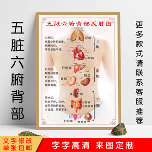 五脏六腑背部反射区挂图 海报中医经络穴位疏通的好处美容院挂画w