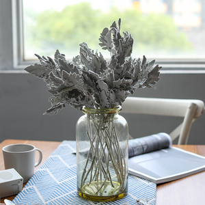 银叶菊干花雪叶菊天然植物北欧风家居装饰银色叶子搭配muzhi木直