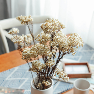 天然真花小米花干花小清新北欧家居民宿装饰花永生花手工diy材料