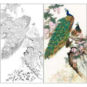 【有步骤】陈军工笔画白描底稿孔雀四尺原作大小66×121厘米花鸟线稿