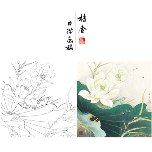 【有步骤】李晓明工笔画白描底稿荷花蜜蜂小品原作大小50×50厘米花鸟