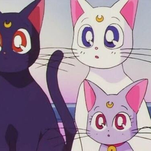 美少女战士三只猫名字图片
