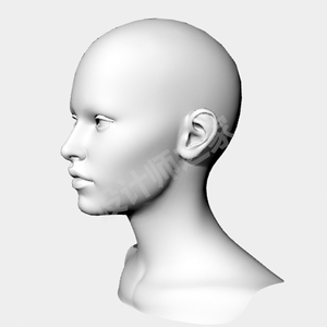 女人头人体头部犀牛rhino肖像建模渲染max模型c4d三维素材obj/3ds