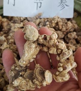 竹节参100g克白三七 明七 七叶子非党参当归麦冬野生中药材粉