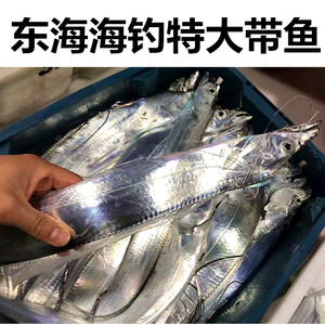 东海带鱼吊带小眼睛带鱼舟山钓带单条一斤上大带鱼热气海鲜非速冻
