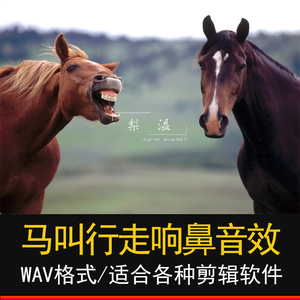 804人付款天猫马匹音效马蹄行走奔跑嘶叫马具安装声音素材游戏视频