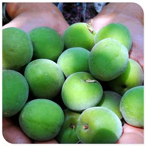 包邮中通现摘新鲜青梅鲜果梅子水果泡酒散装青梅果酸梅子5斤云南