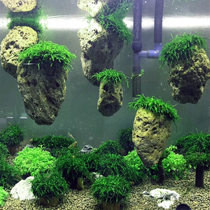 莫斯悬浮石鱼缸造景浮石阿凡达景观浮石头水族箱装饰假山水草套餐