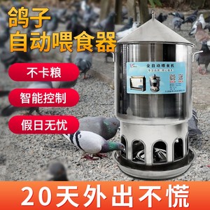 鸽子全自动喂食器投食机定时手机远程控制鸡神器信赛鸽不锈钢食槽
