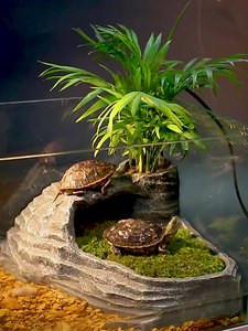 乌龟晒台天然石休息平台躲避屋石头大号爬台高水位大型养龟晒背台