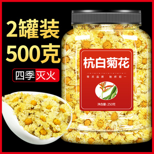 菊花茶去火清热解毒特级正宗正品杭白菊花新清肝调理清火男女冬季