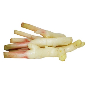 四川嫩姜新鲜嫩仔姜红芽姜子姜鲜姜生姜泡姜姜芽醋泡姜农家现挖