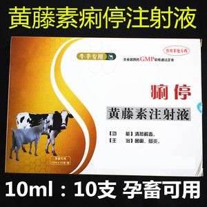兽药兽用痢停黄藤素注射液一针止痢猪牛羊病毒细菌顽固腹泻针中通