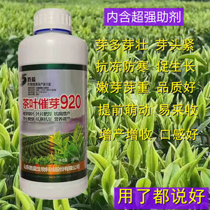 茶叶催芽肥920