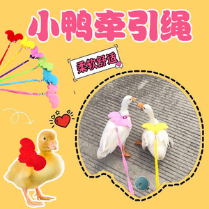 溜小鸭子牵引绳柯尔鸭专用遛小鸡绳子外出绑绳宠物大鹅公母鸡用品
