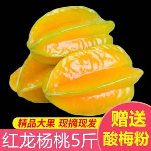 树上熟黄台湾红龙杨桃现货新鲜水果当季时令海南洋桃