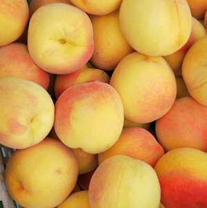 东北 大连黄金桃 罐头黄桃毛桃酸甜孕妇新鲜水果非水蜜桃 6斤包邮