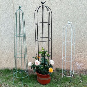 铁艺花柱攀爬架铁线莲架子绿萝月季花架盆栽爬藤架鸟笼造型支架杆