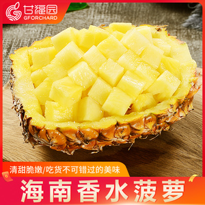 海南香水菠萝9斤当季新鲜水果手撕凤梨金钻小波罗大果整箱5包邮