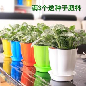 塑料花盆朔料树脂