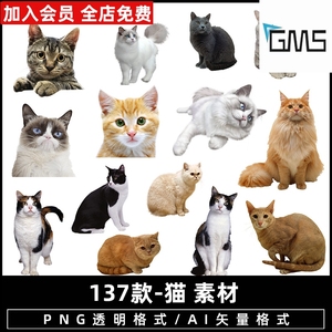 小猫咪黑色白色花猫可爱动物宠物剪影卡通png免抠ps图片黑猫素材