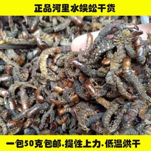 水蜈蚣干货爬沙虫鸟食鸟粮鸟饲料画眉提性上力提升战斗力低温烘干