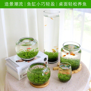 鱼缸水草种子大对叶水培植物水草泥生态瓶玻璃瓶水养绿植微景观