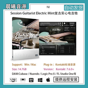 Session Guitarist Electric Mint v1.1.0复古实心电吉他音色库