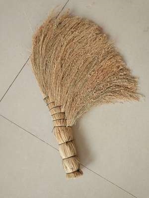 扫把苗子-淘宝拼多多热销扫把苗子货源拿货 - 阿里巴巴货源