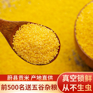 蔚县黄小米新米5斤香糯粘稠小黄米农家杂粮一级贡米石磨小米粥