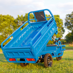 电动三轮车家用大型农用三轮电瓶车拉货三轮电动车大功率载重王