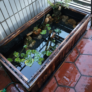 实木外箱刀刮布帆布蓄水养殖鱼池锦鲤地缸爬宠乌龟箱舍造景观别墅