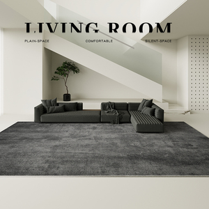 灰色地毯客厅轻奢高级高端免洗可擦家用沙发地垫2024新款黑色冬季