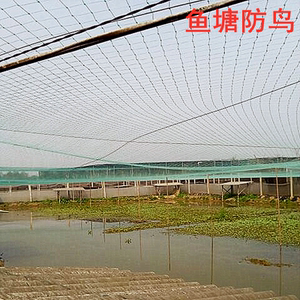 防鸟网天网尼龙网青蛙养殖防逃网牛蛙围网鱼塘池塘泥鳅青蛙食台网