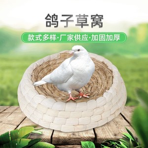 鸽子草窝精品鸽巢窝鸽子窝草编鸡窝下蛋窝孵蛋专用信鸽用品用具