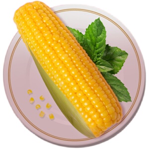 东北黄糯玉米棒子新鲜粘甜玉米整根整箱半熟真空包装非转基因简装