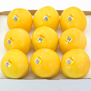 黄布林大李子5斤智利进口黄心李当季新鲜孕妇脆甜水果顺丰包邮