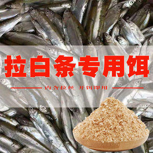 渔家傲鱼饵料野钓江河专用串钩钓小白条饵料单开专攻白条餐条麦穗