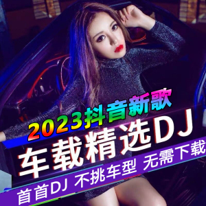 汽车载u盘歌曲无损高音质抖音流行热歌车用劲爆DJ舞曲d亅音乐优盘