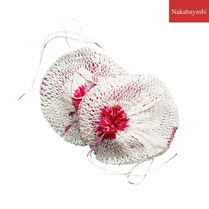 野营小汽灯灯纱帐篷灯 营地灯气灯灯芯灯纱罩灯纱网罩两个装