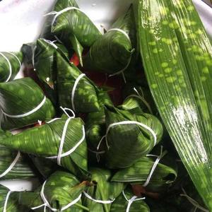 包邮四川花粽叶正宗野生新鲜粽子叶一叶兰非竹叶芦苇叶云南箬叶